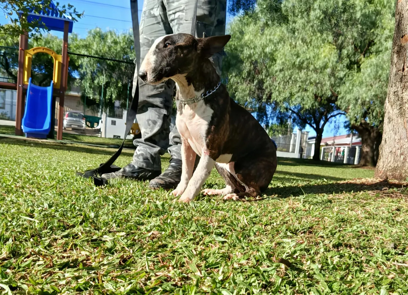 Ripley