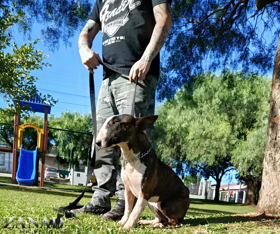 Ripley